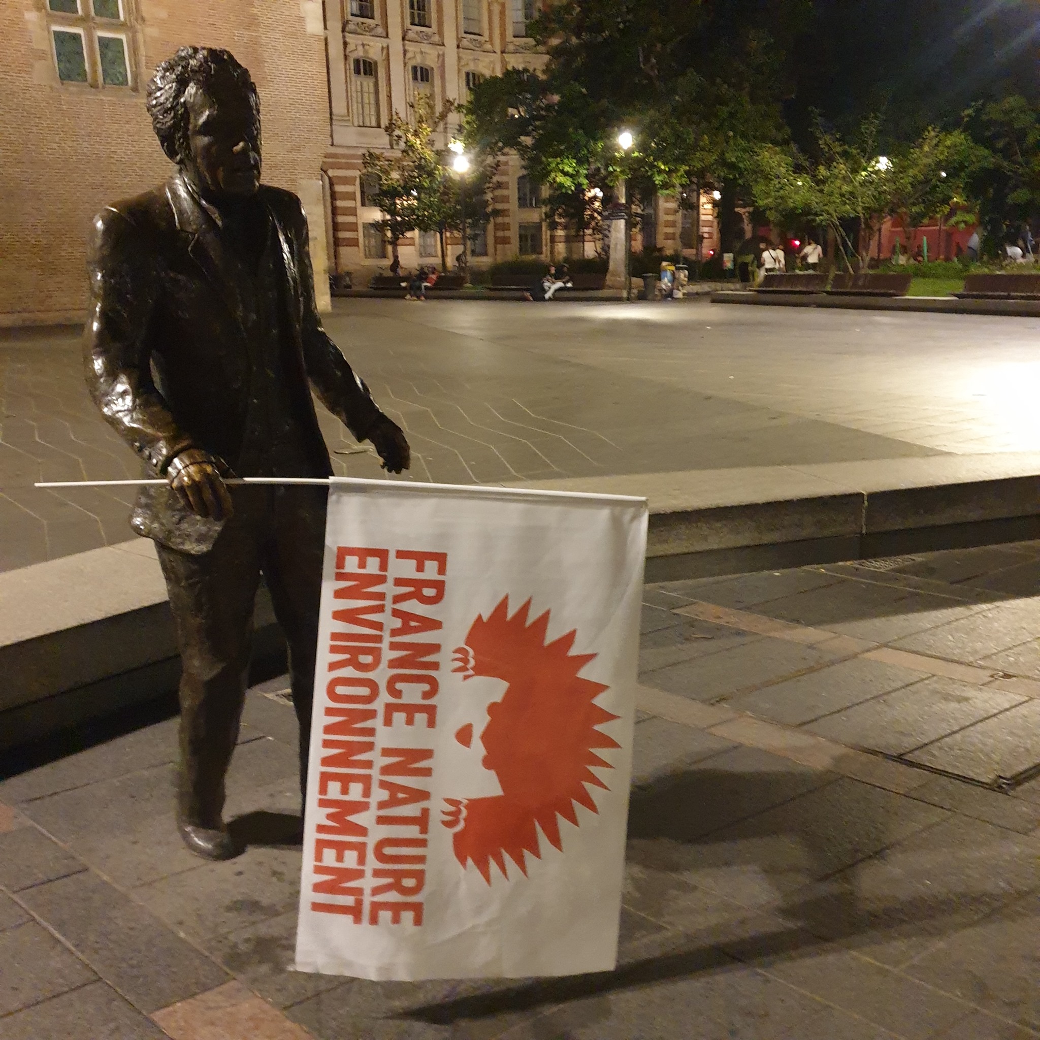 Drapeau FNE, marche pour le climat